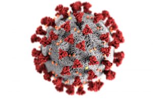 alt="image showing coronavirus"
