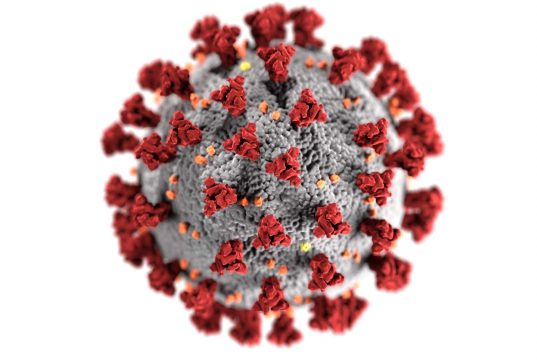 alt="image showing coronavirus"